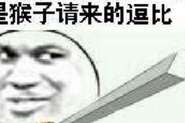 平坝债务清欠服务